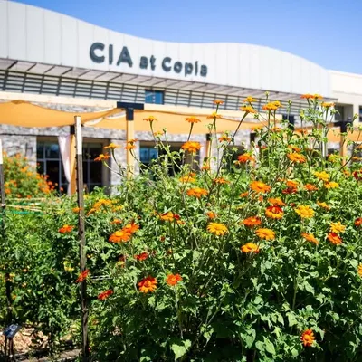 The CIA at Copia profile