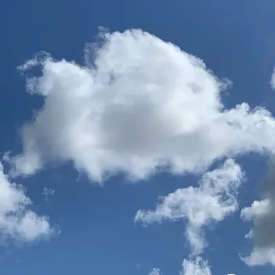 Ciel Bleu profile
