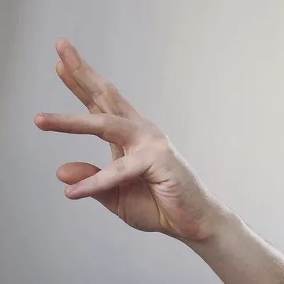 Cielesna Prawda profile