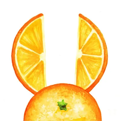 Citrus Bunn Illustration profile