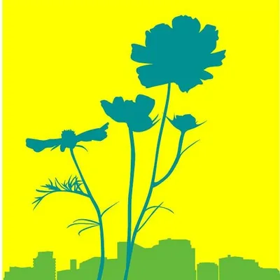 City Blossoms Inc. profile