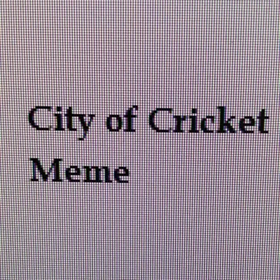 CITY OF CRICKET MEME profile