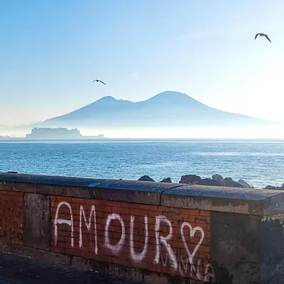 City of Naples profile