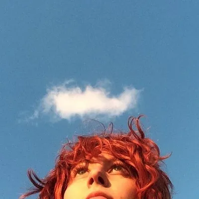 profile