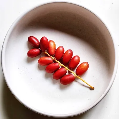 Clayfingers - Ceramic Art Studio profile