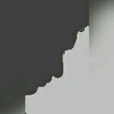 Fardeen Pasha profile