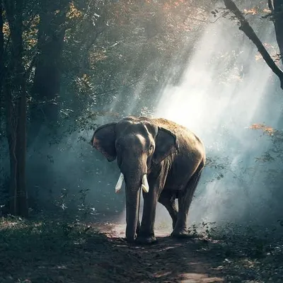 nature photography profile