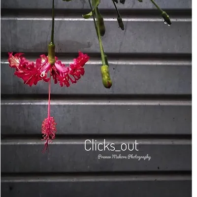 Clicks_Out profile