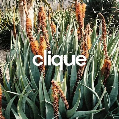 Clique profile