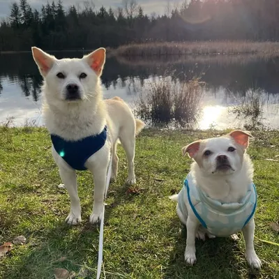 Cloud and Natsu ๐พ profile