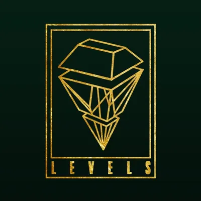 Levels - Pub | Club | VIP profile