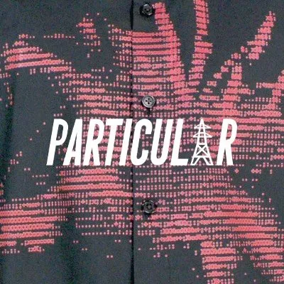 PARTICULAR profile
