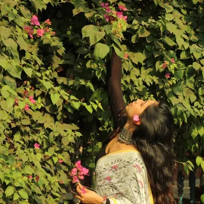Rajashree.n🌹✨🕊️ profile