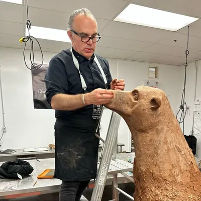Christophe Morel profile