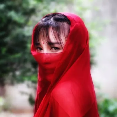 李子柒 profile