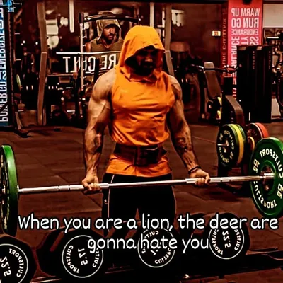 V I N A Y 💪 profile