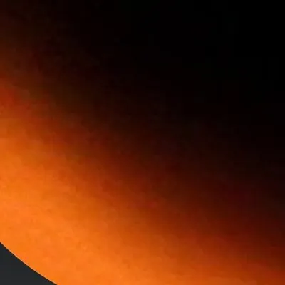 Coca Michelle profile