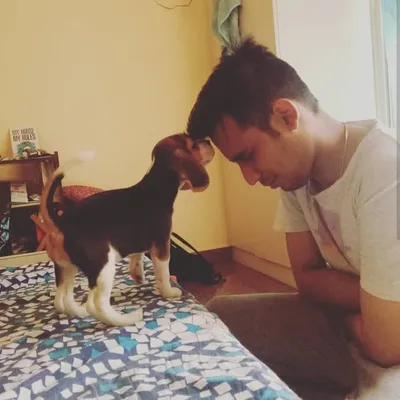Coco : The Beagle Pupperina ๐ฎ๐ณ profile