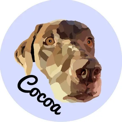 Cocoa🐾 profile