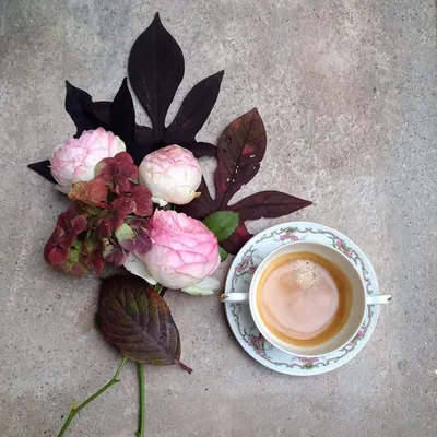 coffeeandseasons profile