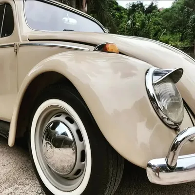 Colecionáveis Antigos profile