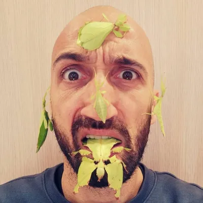 Sébastien benduckieng profile