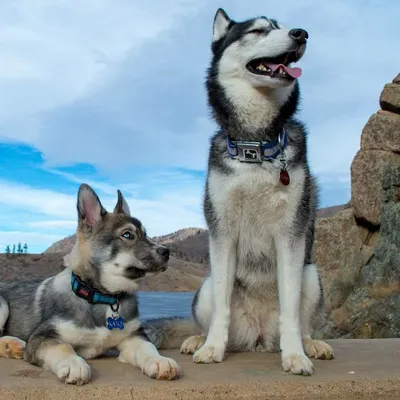 Luna and Kato ๐พ๐พ profile