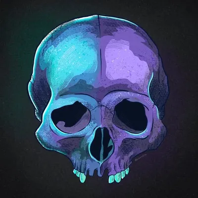 Colorfulfilth profile