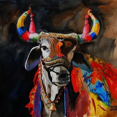 #coloursofmaharashtra profile