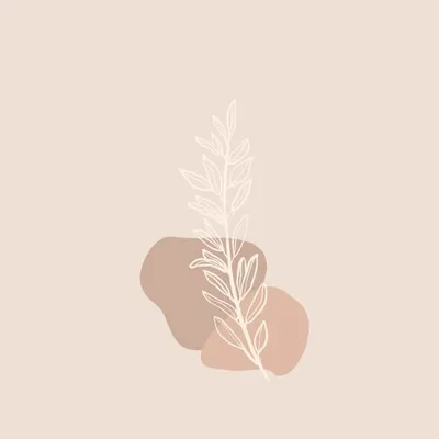 Ancien compte ❁ profile