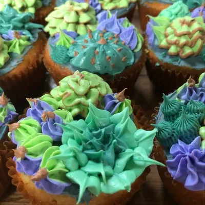 confectionsMD profile