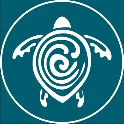 Sea Turtle Conservancy profile