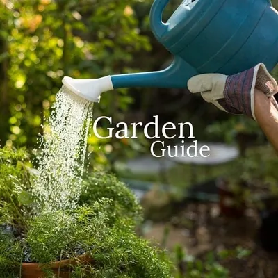 Sakshum | Diy & Plants profile