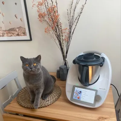 Independent Thermomix Advisor profile
