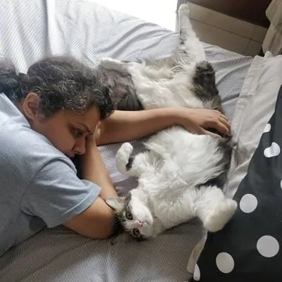 Meha profile