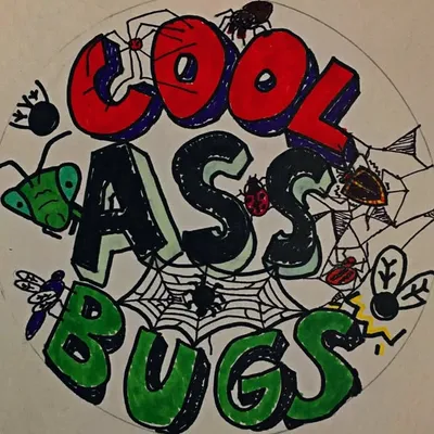bugs ๐ profile