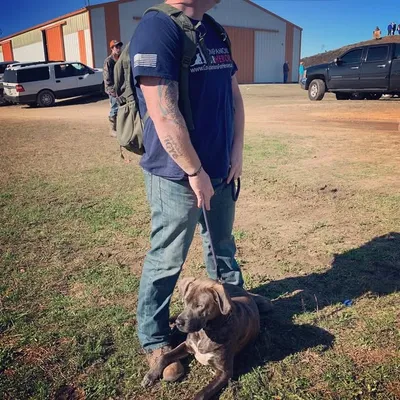 🇺🇸Cooper PTSD Service Dog🇺🇸 profile