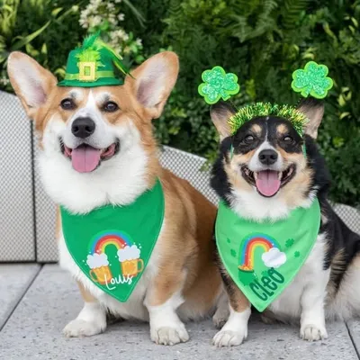 Cleo and Louis the Corgis profile