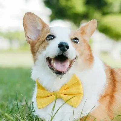 BOO & BOEY profile