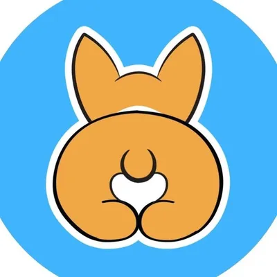 Corgi ❤ Corgi ❤ Corgi profile