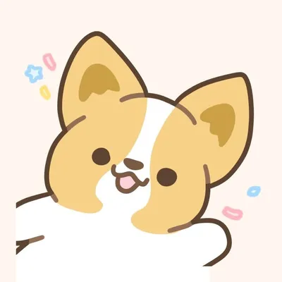 Corgiyolk profile