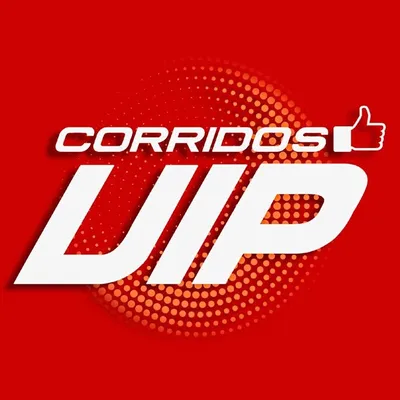 Corridos VIP ❇️⚡️ profile