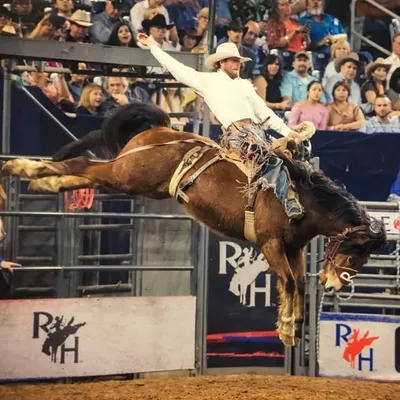 Cort Scheer profile