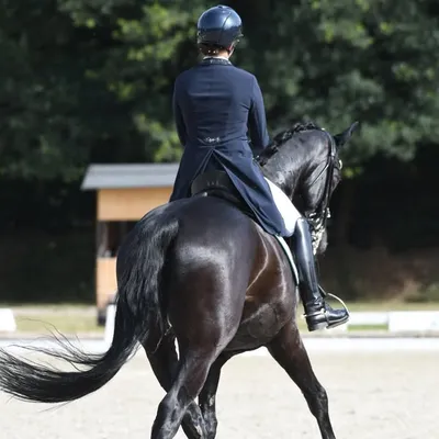 Cosima profile