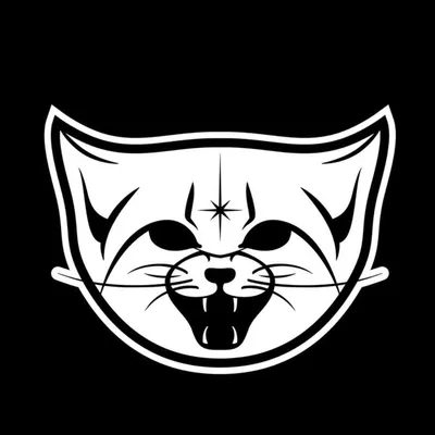 Cosmicat profile