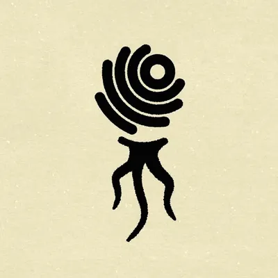 Cosmic Roots profile