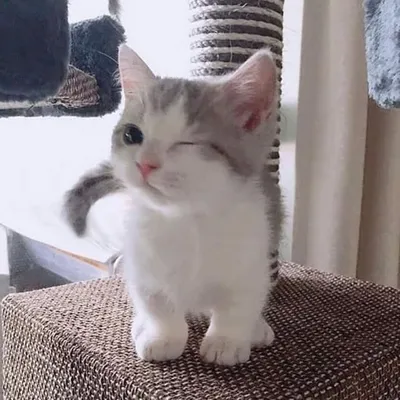 Majo Rolon ๐๐ profile