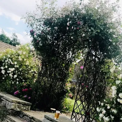 English Country Glamour profile