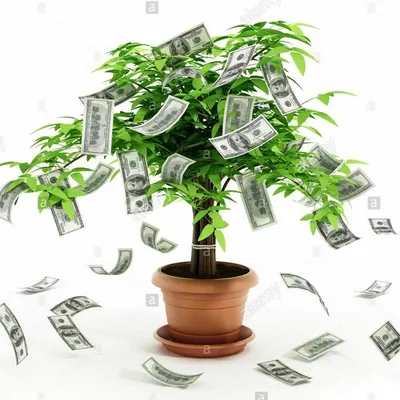 Coupon Tree profile