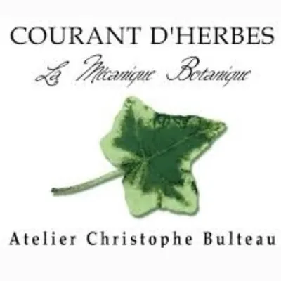 Christophe Bulteau profile